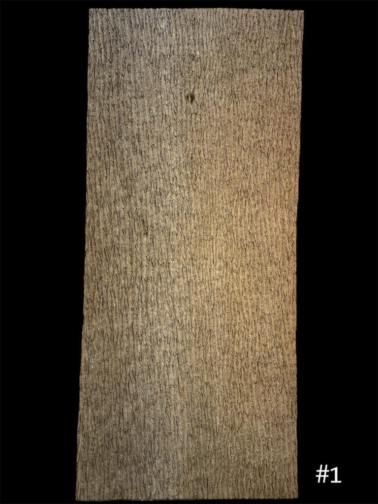 Natural poplar bark wall covering panel
