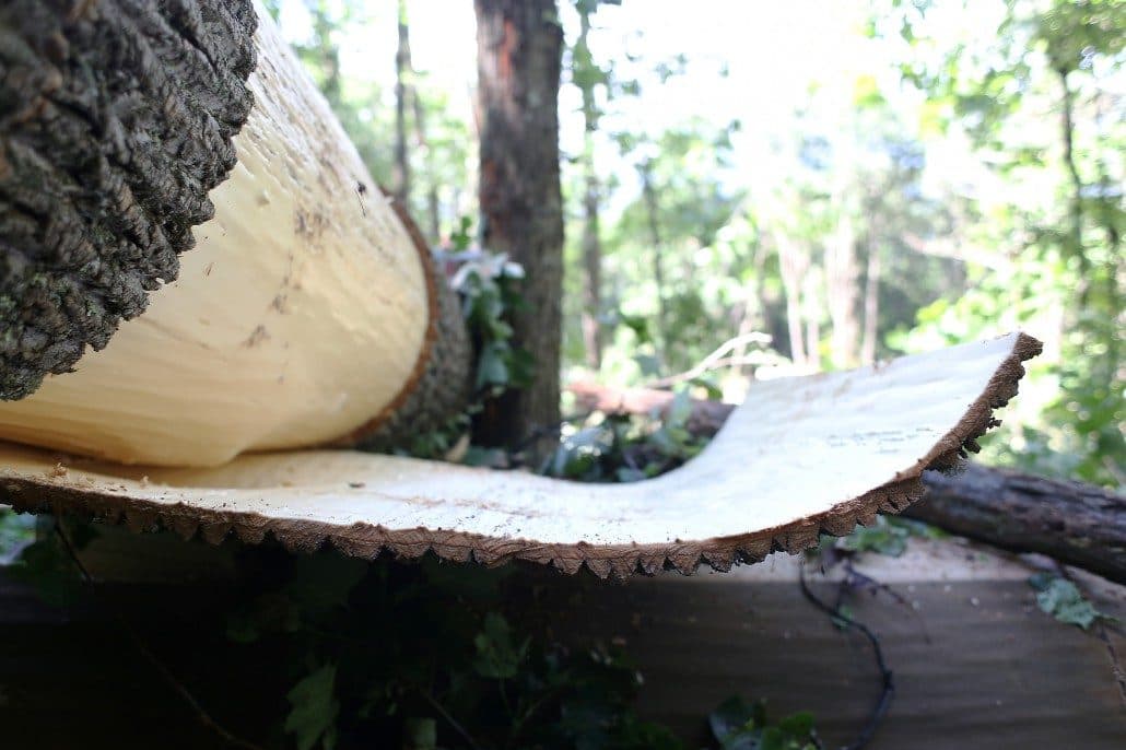 BarkClad Poplar Bark Siding