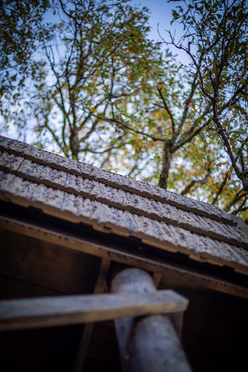 SmartBark Bark Siding | Hunting Blinds | Duck Hunting