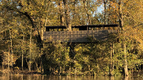 Hunting Duck Blind