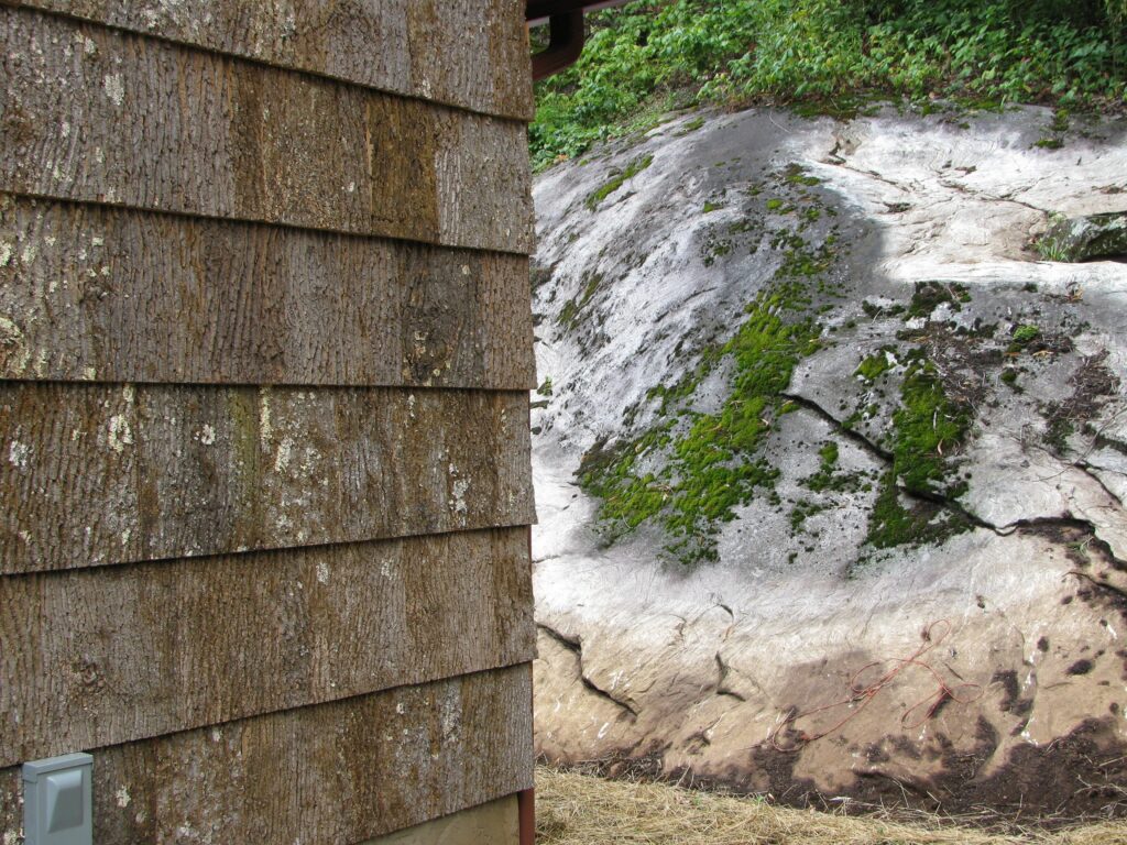 natural poplar bark siding