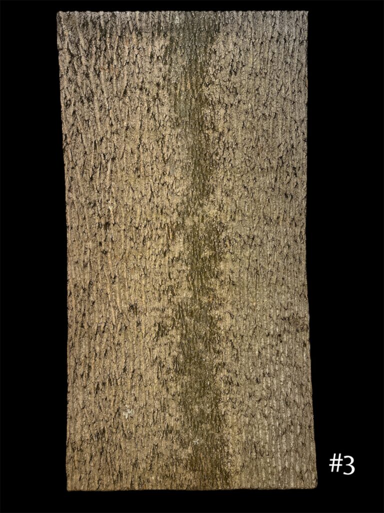 Bark Wall Coverings bark wall covering 92x410 1 BarkClad Bark Poplar Siding | Natural Poplar Bark Siding