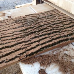 bark siding