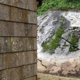 natural poplar bark siding